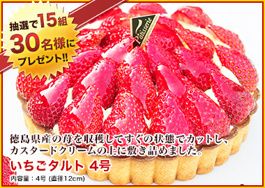 ����ξ��ʲ���