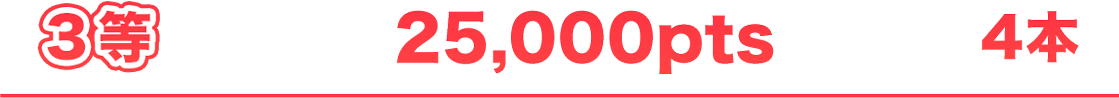 3�� 25,000pts 4��