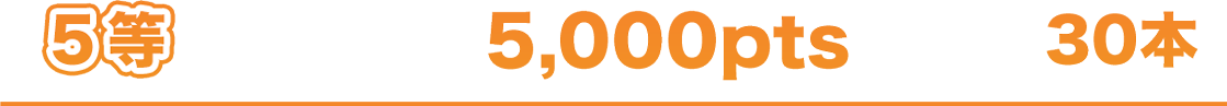 5�� 5,000pts 30��