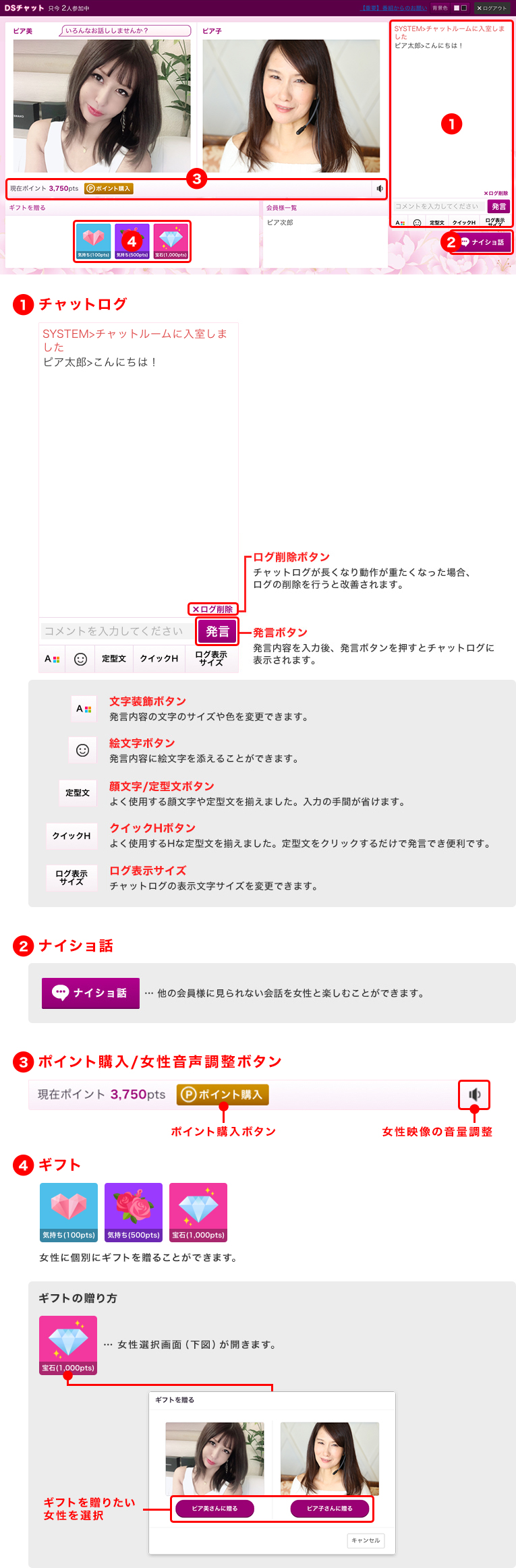 DSチャットの説明図